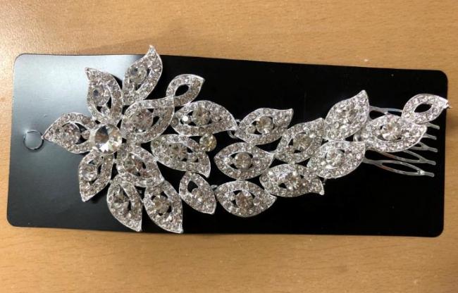 2019-03-06 13;42;11.JPG