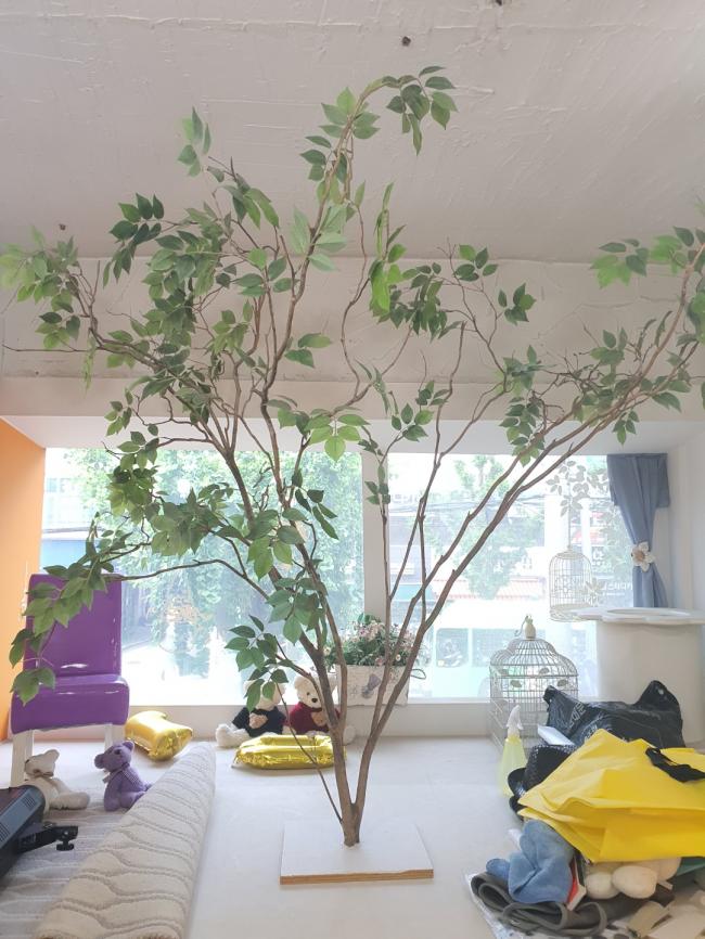 KakaoTalk_20220704_185932319_14.jpg