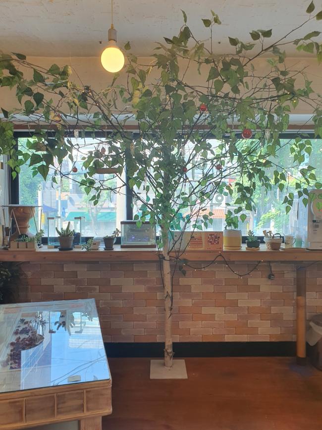KakaoTalk_20220704_185932319_29.jpg