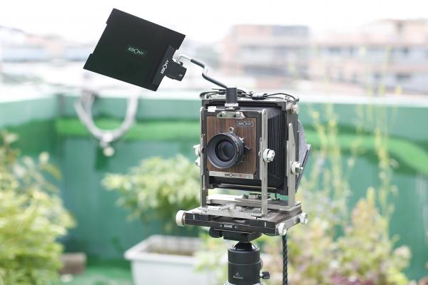 ���� ����-17.jpg